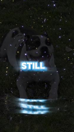 Recut | Love you still edit