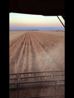 Recut | Agriculture💪🚜🌾