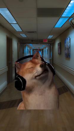 Recut | SHIBA INU SINGING