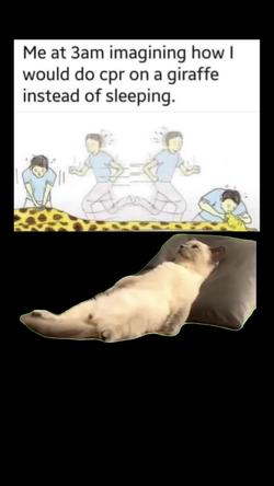 Recut | Depressed cat on Bed