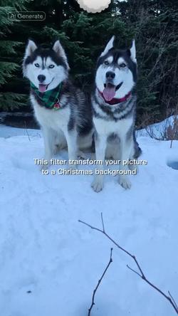 Recut | Christmas wallapaper