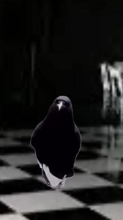 Recut | Crow Modeling