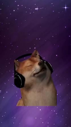 Recut | SHIBA INU SINGING
