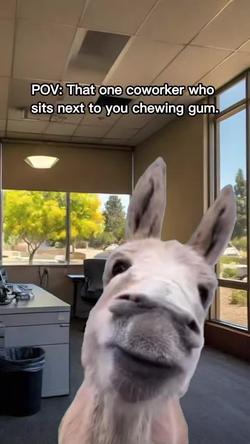 Recut | Unamused donkey 