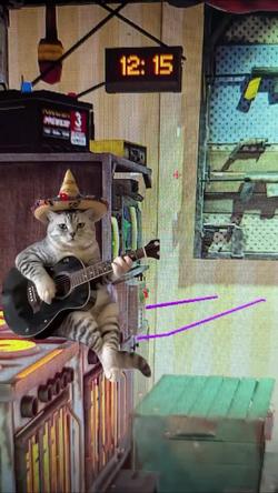 Recut |  guitar cat