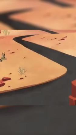 Recut | Coyote sees you 