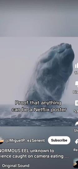 Recut | Proof Netflix Poster