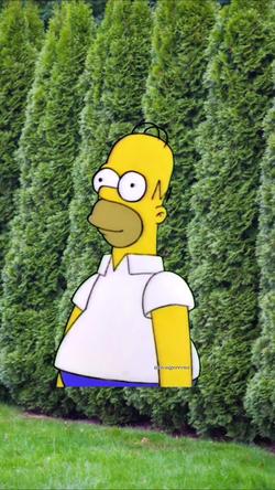Recut | Homer Simpson meme