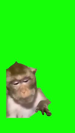 Recut | Monkey with glasses