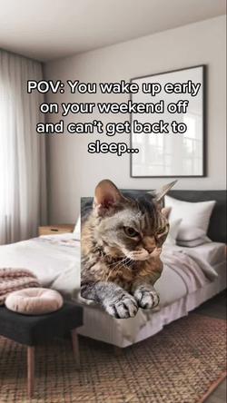 Recut | grumpy cat meme