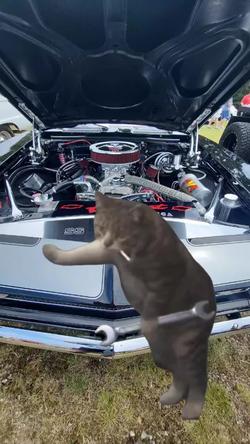 Recut | Cat mechanic meme 