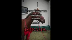 dreams are just drea
