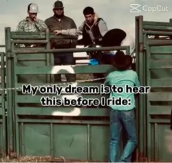 Cowboys
