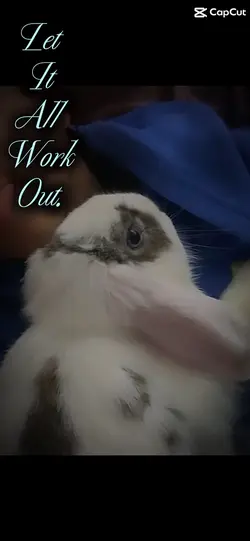 My bunnnyyyyy