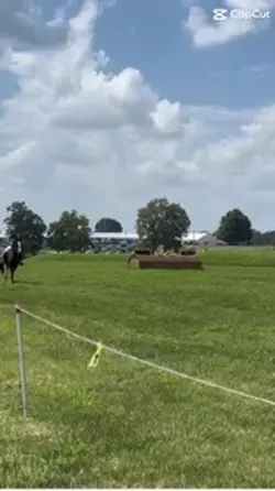 Xc 🤩🤩