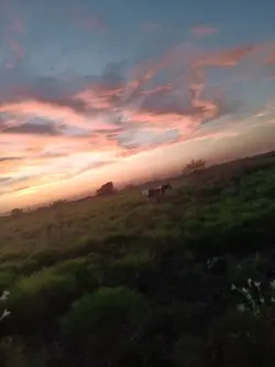 sunsets
