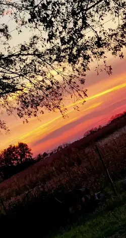 Fall Template 