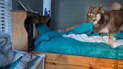 YouTube Template 