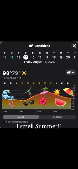 𝓢𝓤𝓜𝓜𝓔𝓡 🌞🏖️