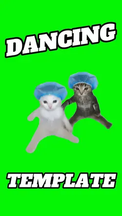 Cats Dancing