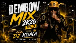 Dj Koala