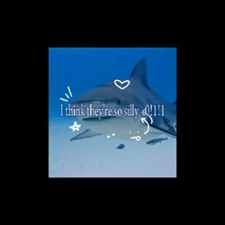Shark edit!! 🦈 