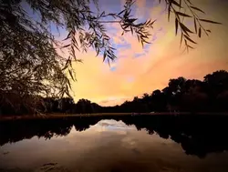 Sunset Moods