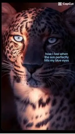 Eyes