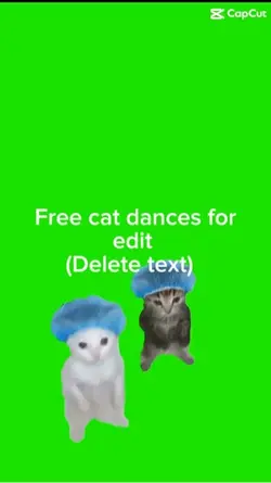 Free cat dance