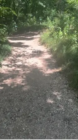 Arkansas Hike