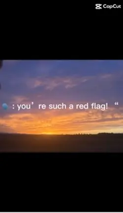 Red flag