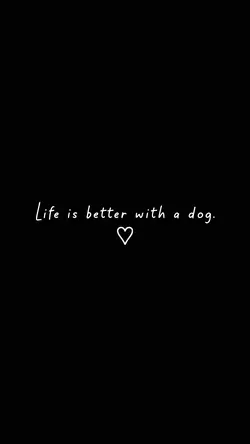better with a dog.