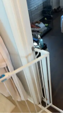 House cleaning