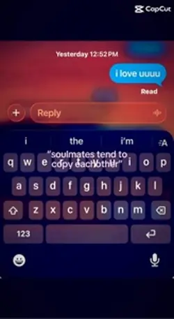 soulmates?