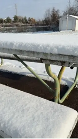 Snow day