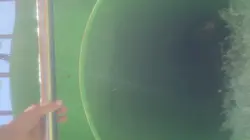 Waterslide