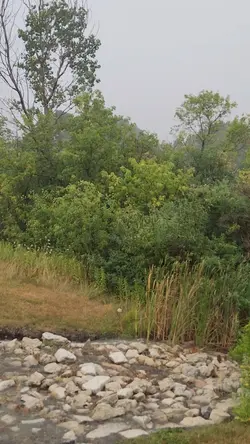 Nature/Water