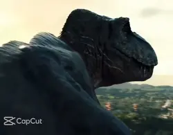 “ROAR”