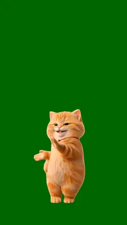 Cute Cat Dancing

