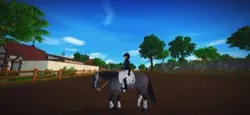 WESTERN