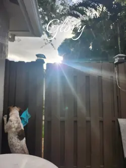morning sunrise