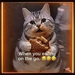 Eating on the Go