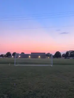 Levi
