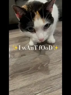 Want food