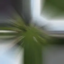 Te extraño mamá 