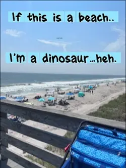 Dinosaur..,
