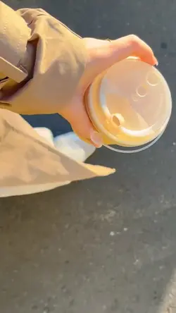 4 clips