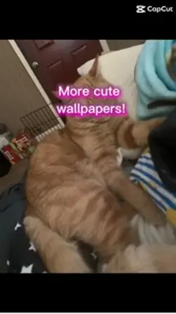 cute backgrounds 