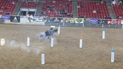 MIDWEST HORSE FAIRR