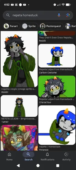 nepeta